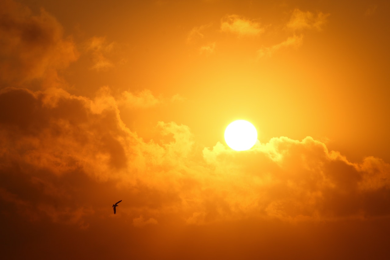 Canicule cette semaine en France !